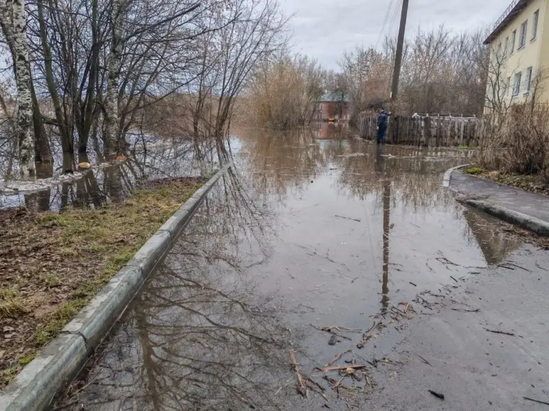 Безальтернативность