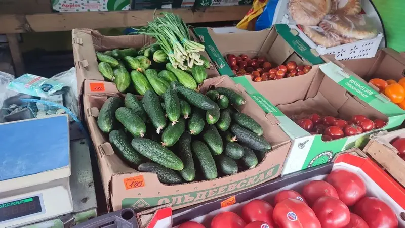 Огуречный сезон